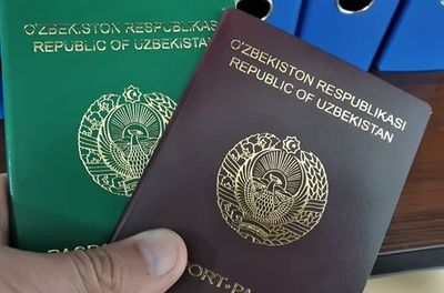 The procedure for obtaining a biometric passport for traveling abroad through the SPIGS has been determined